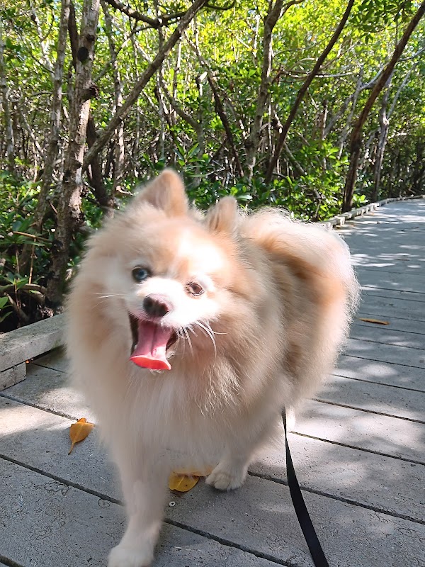 Galt Nature Preserve