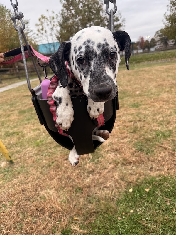 Veterans Memorial Park