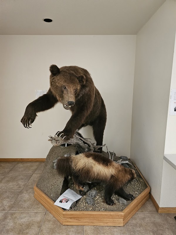 World Museum of Natural History