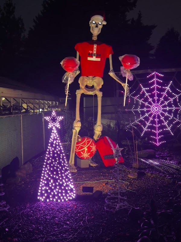 Schilling Lights on Lark