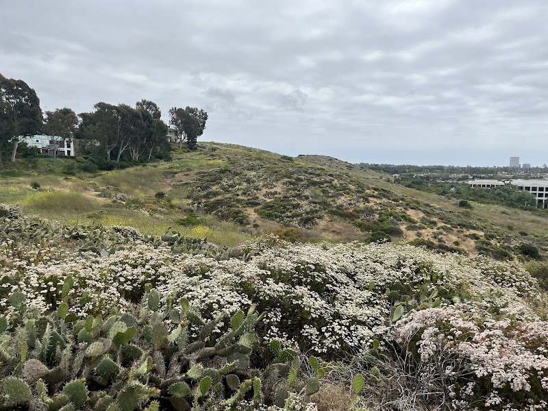 UCI Ecological Preserve