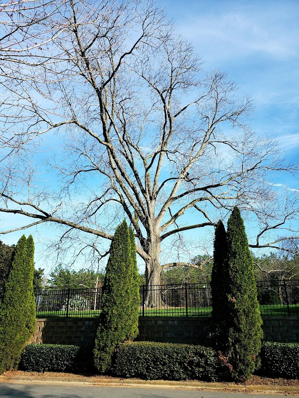 Brighton Park Gazebo