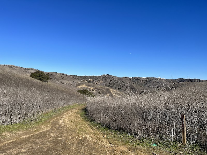 Rimcrest Trail Head