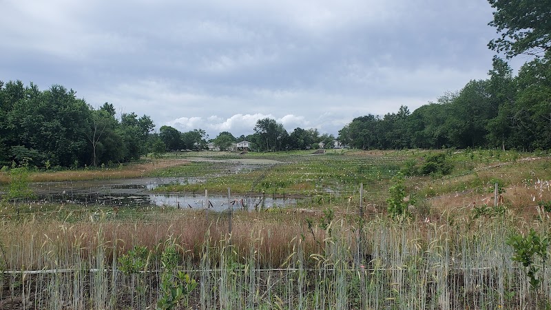 Last Chance Pond Park