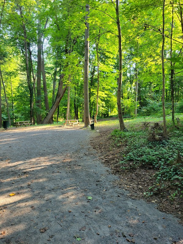 Furness Park