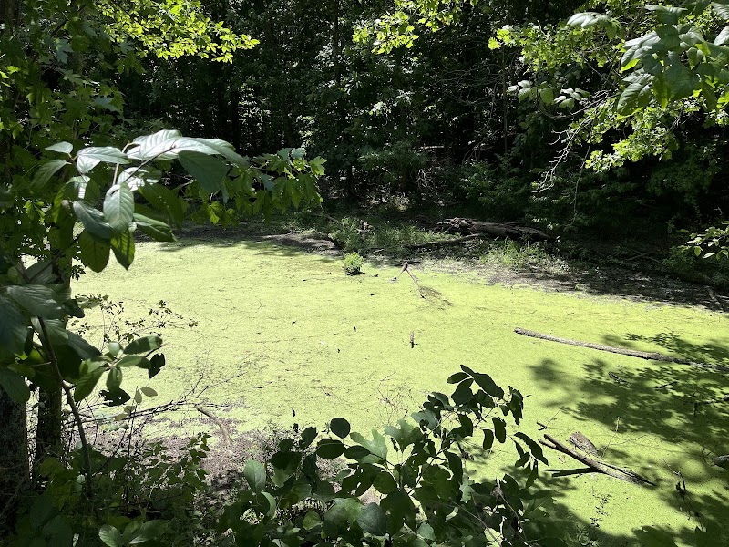 Colorblind Viewfinder: Radnor Lake State Park