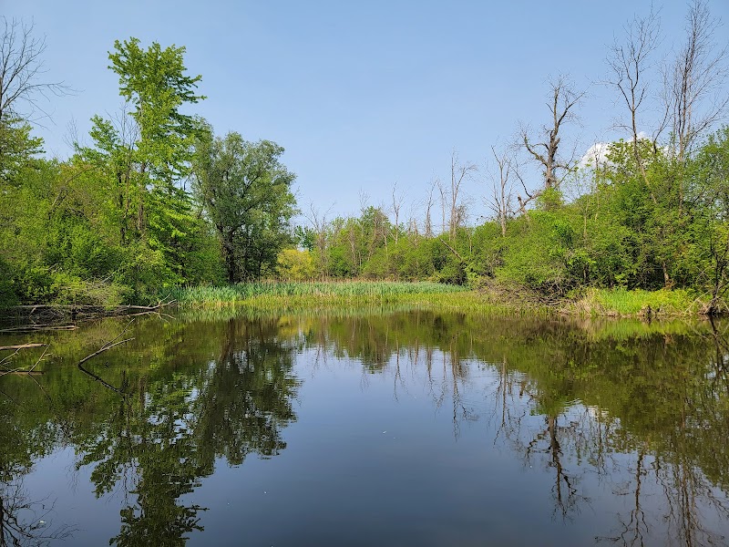 Genesee Valley Greenway State Park - Little Black Creek