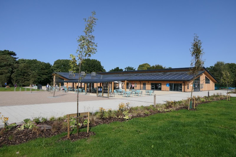 Delamere Forest - Forestry England, (main car park)