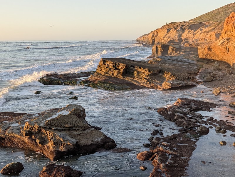 Point Loma Ecological Reserve
