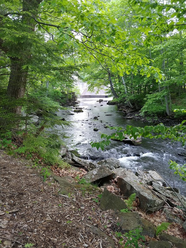 Seabright Park & Trail (Town of Camden)