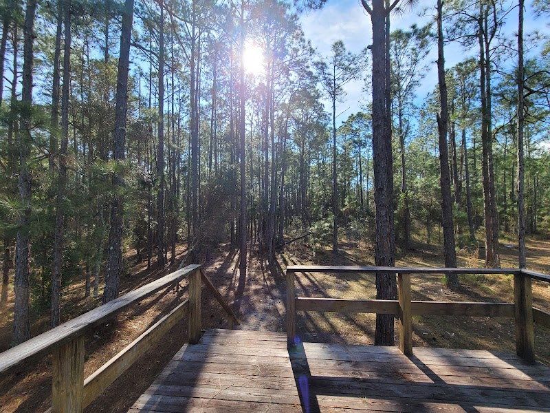Brooker Creek Preserve - The Friends Trail