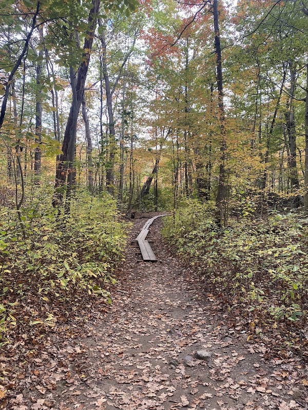 Cranberry Lake Preserve Parking