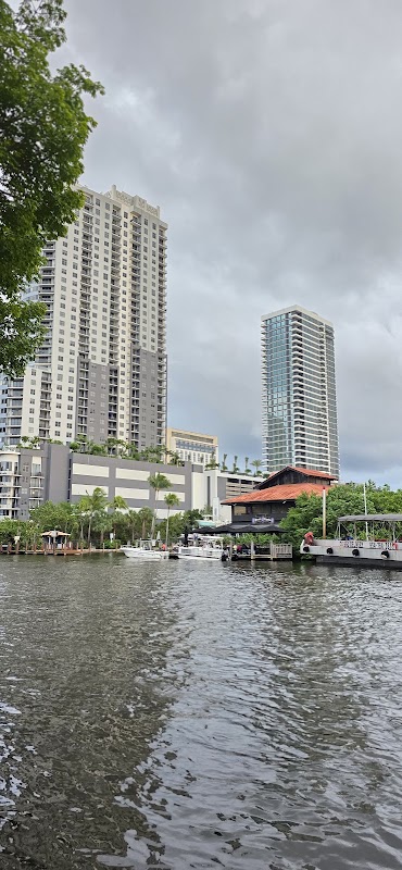 Chair of Fort Lauderdale