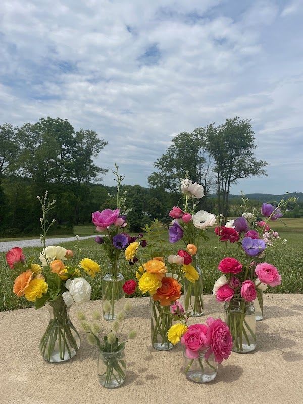 The Blue Pig Flower Farm