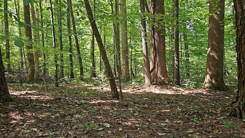 Waterfowl Impoundment Parking