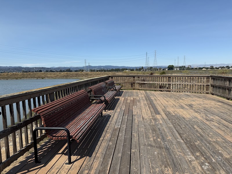 Observation platform