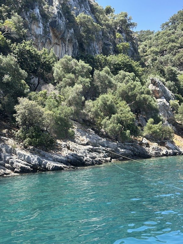 Merdivenli Koyu