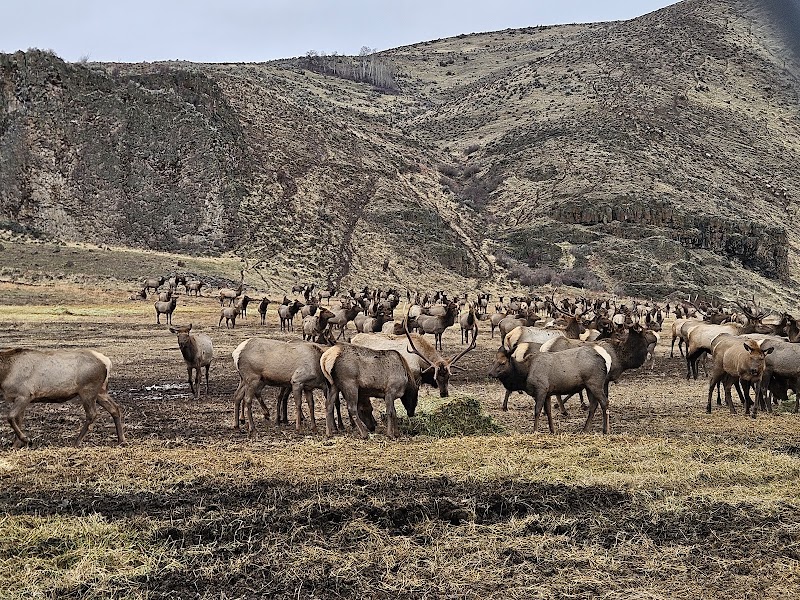Oak Creek Wildlife Area - Oak Creek Unit