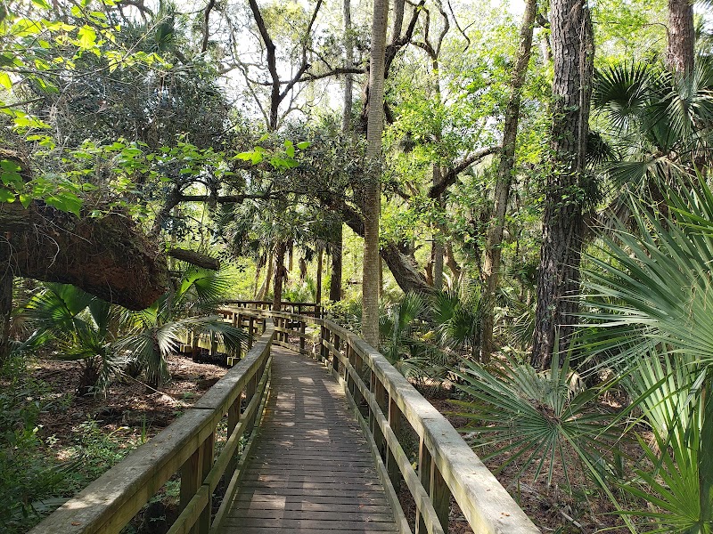 Fish Island Sea Pines Forest Preserve