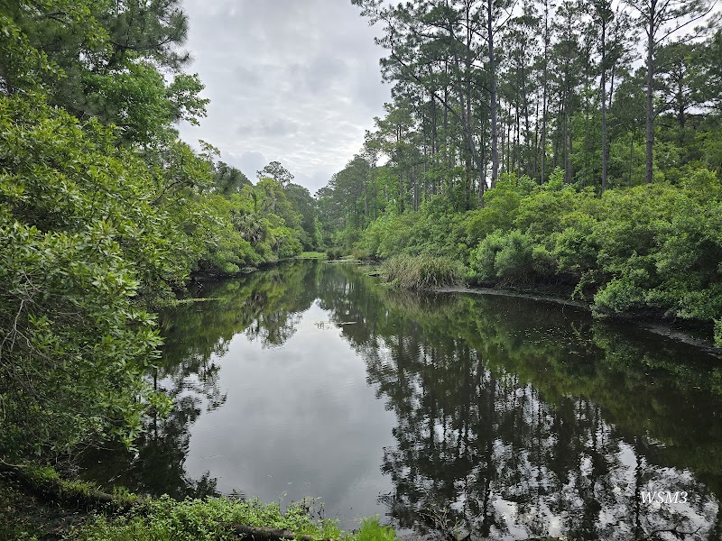 Fish Island Sea Pines Forest Preserve