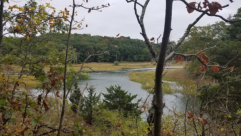 Beacon Hill Preserve