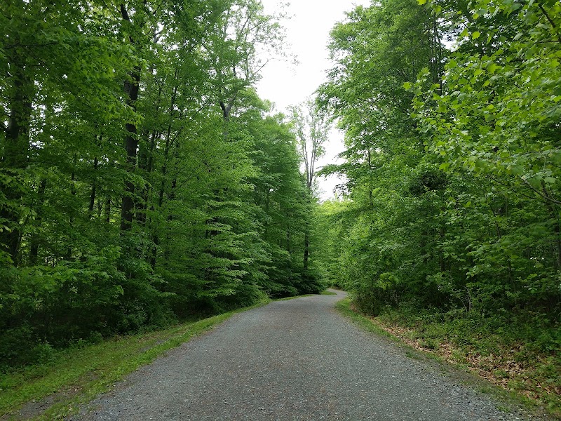 Heavenly Waters Park