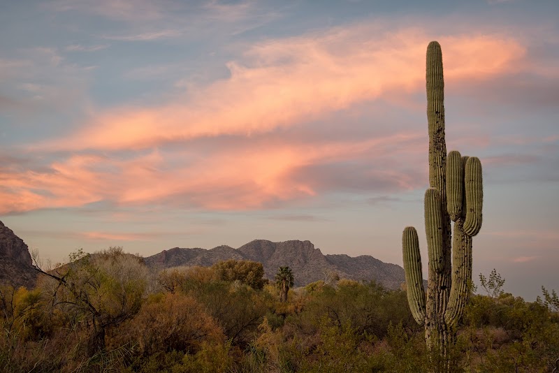 Wild Horse Trailhead Parking