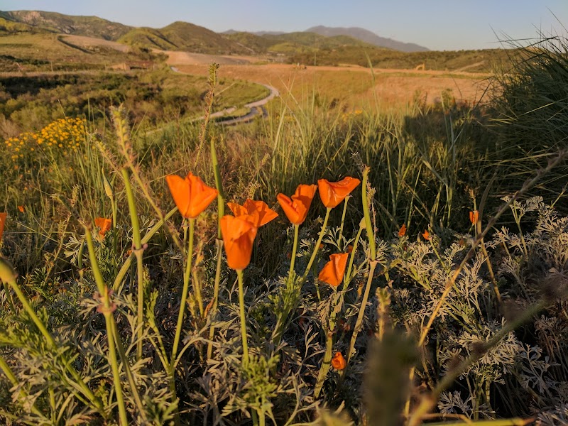 Tomato Springs Park at Portola Springs