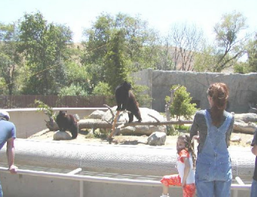 California Living Museum (CALM)