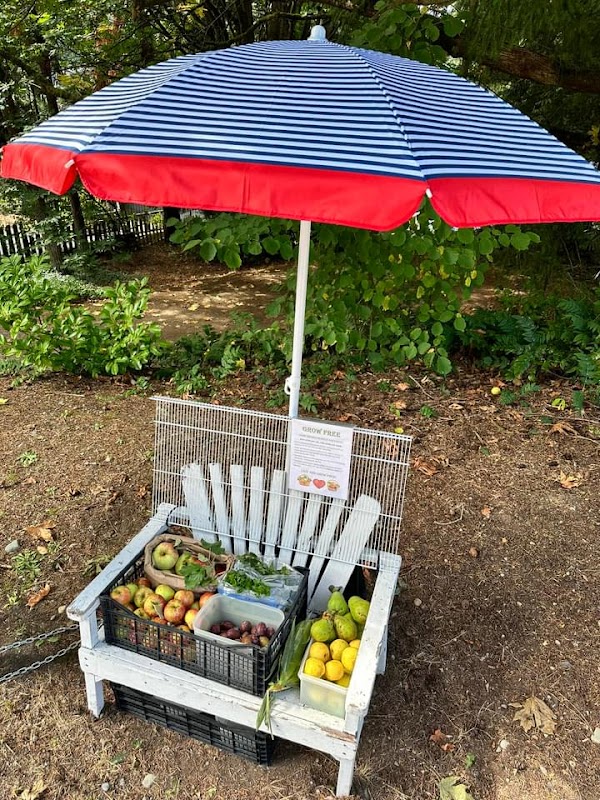 Steffi's Shared Abundance Stand