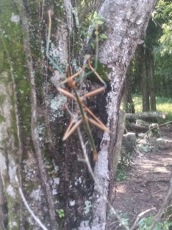 Country Club Drive Park