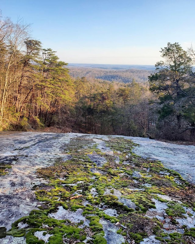 Eva Chandler heritage preserve