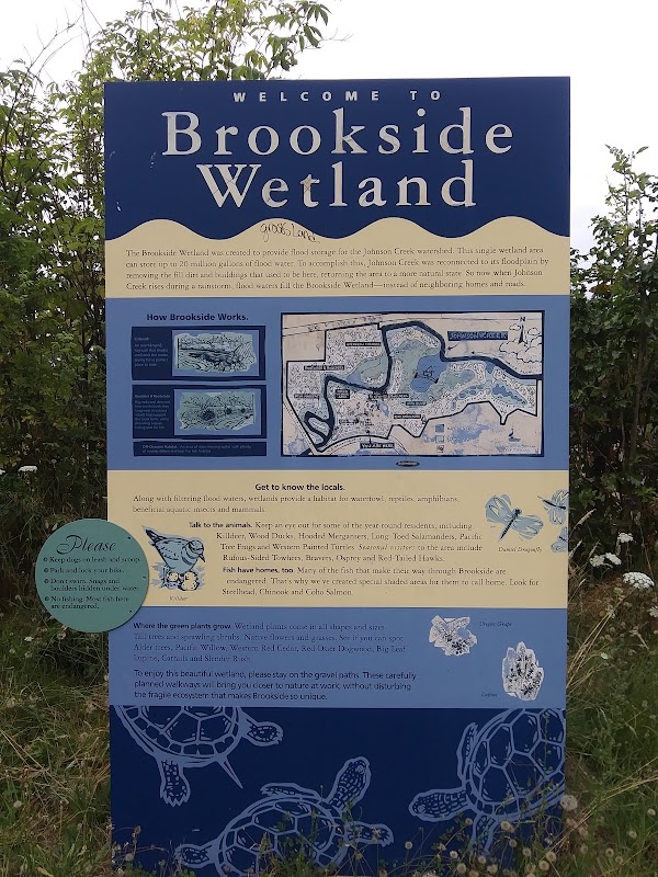 Brookside Wetland