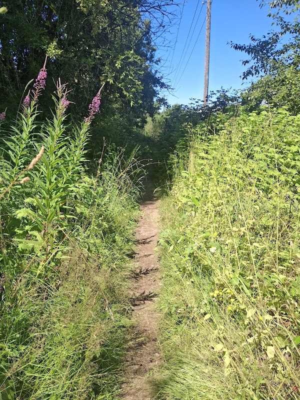 Kasen Everest Cornwall Memorial Trail