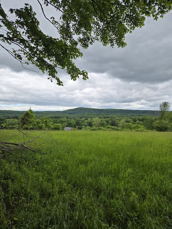 Chotkowski Conservation Area