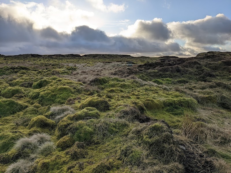 Bleaklow