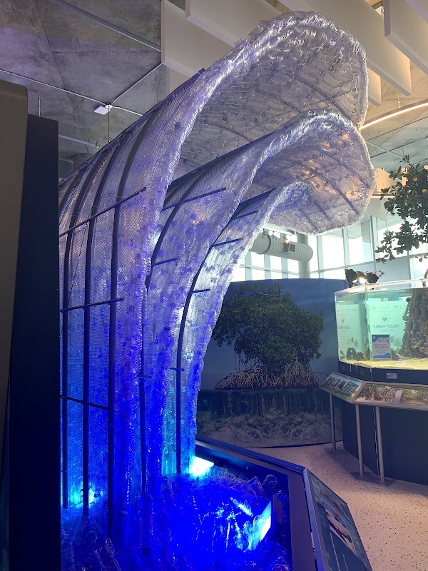 Tampa Bay Watch Discovery Center