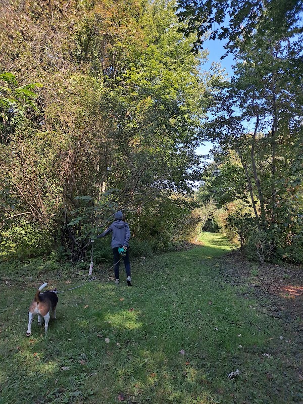 Cushing Conservation Area