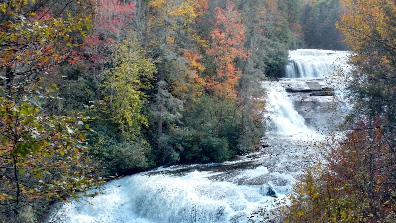 DuPont State Recreational Forest