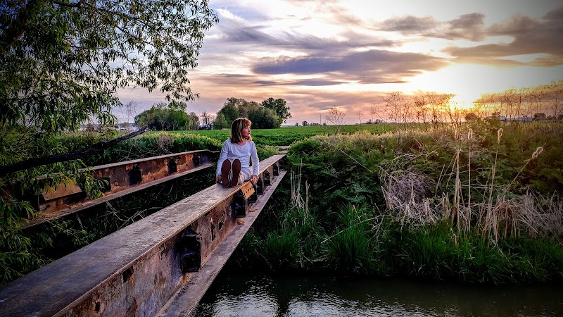 Grimes Path