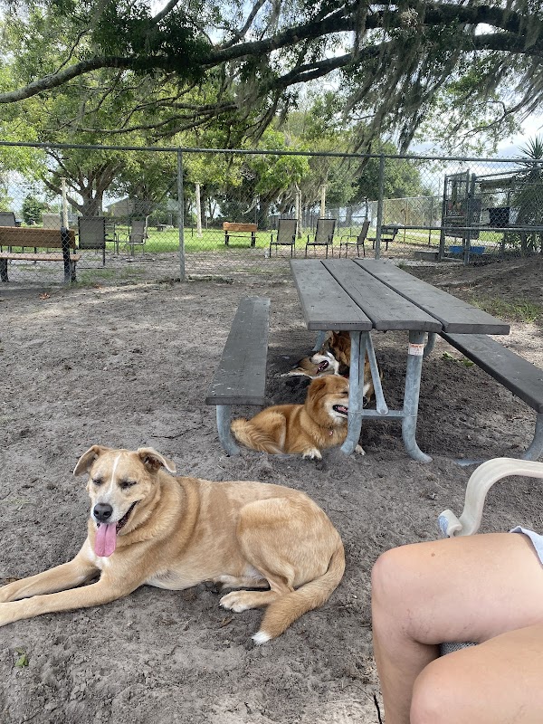 Land O' Lakes Recreation Complex :Dog Park
