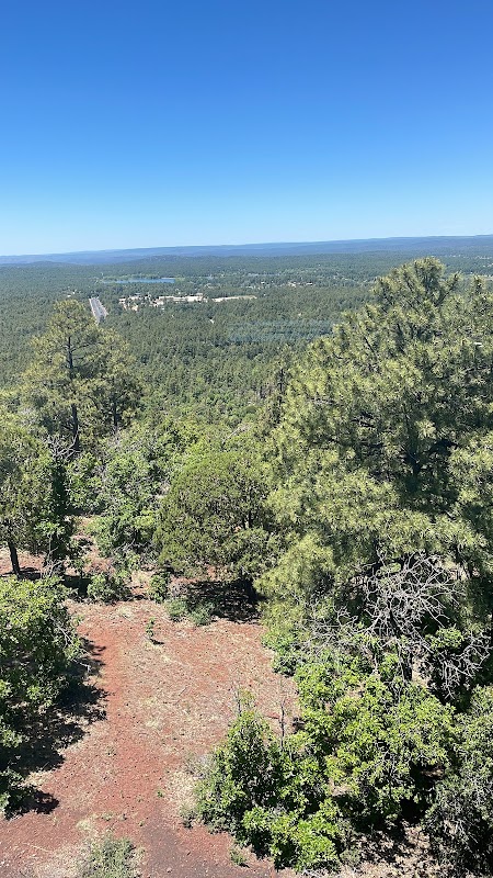Springer Mountain Fire Lookout