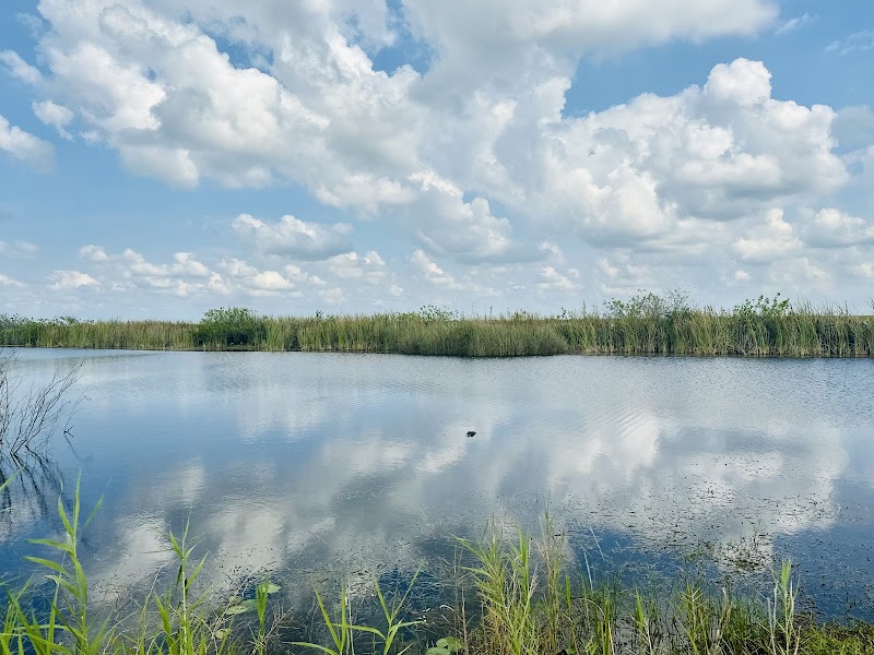 Loxahatchee Everglades