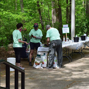 The Hollows Community Garden