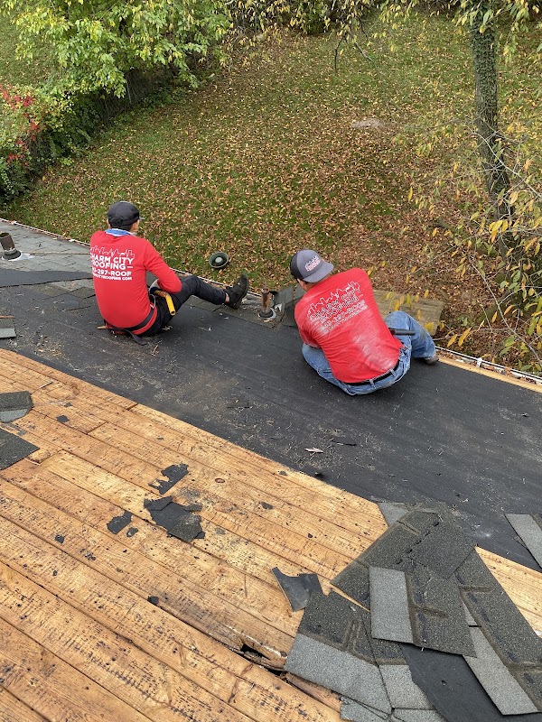 NeighborSpace of Baltimore County: Graystone Community Open Space