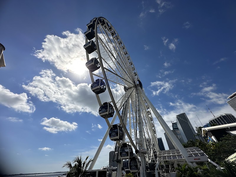 Rumo a Miami