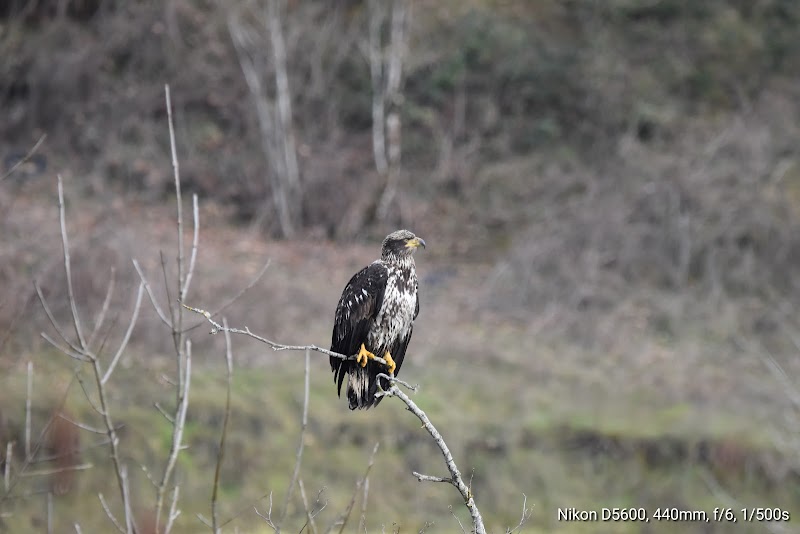 Salmon Creek Midway Trail Head