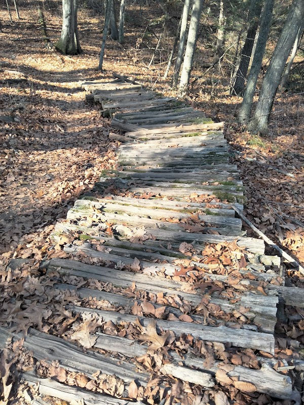 Tariffville Overlook Loop Trail