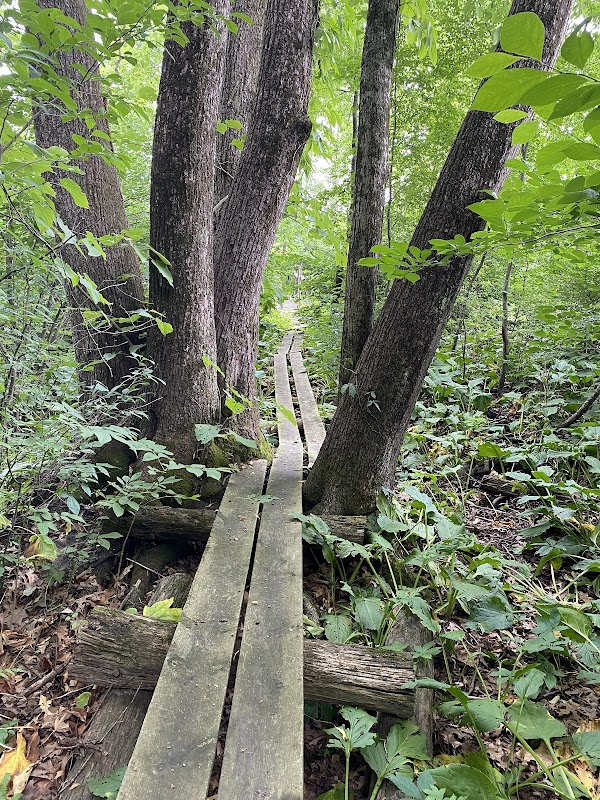 Springfield Fen Nature Preserve