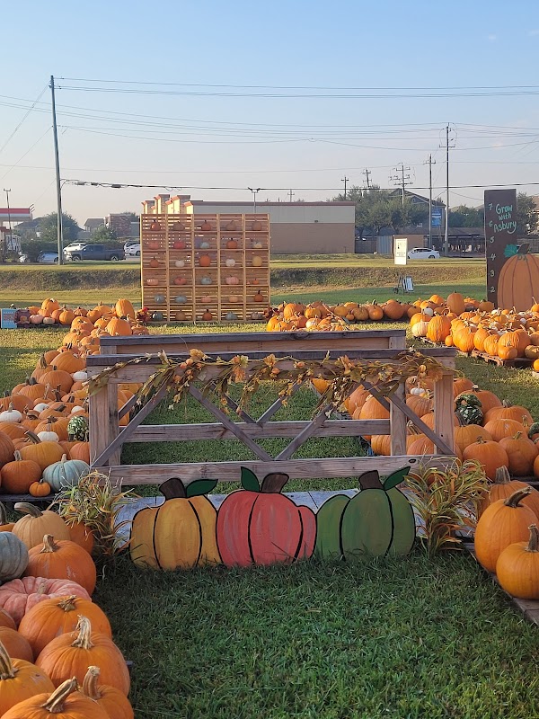 Pumpkin Patch at Asbury Church